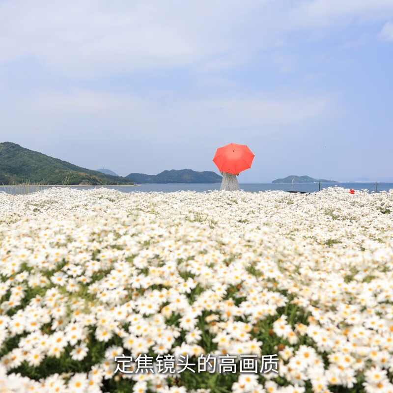 佳能 RF24mm F1.8 MACRO IS STM 全画幅广角微距定焦镜头