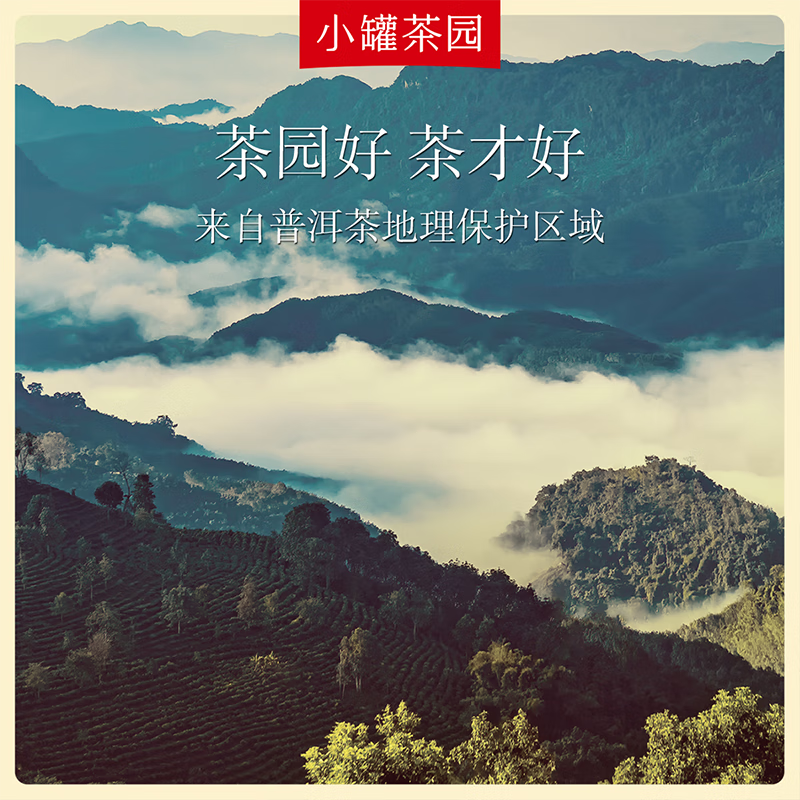 小罐茶 小罐茶园 彩标系列普洱熟茶 160g*1罐 居家功夫泡