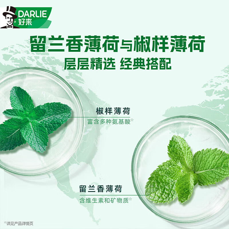 好来(原黑人)双重薄荷牙膏清新口气防蛀固齿减轻口气去渍225g*12支