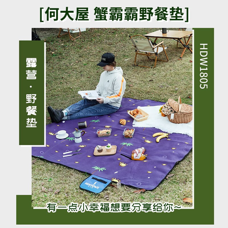 何大屋休闲地垫可清洗户外春游便携通用野餐垫 HDW1805 150*200cm 紫色