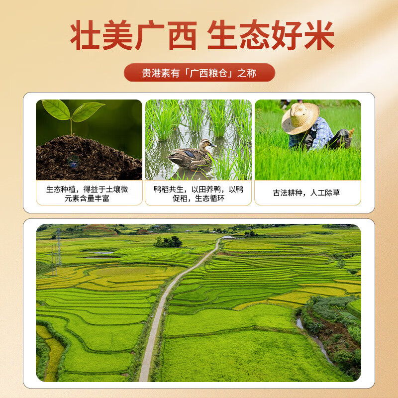 邻家饭香贵港精选香米 10斤/袋 真空包装 832系列 GB/T1354 FP119