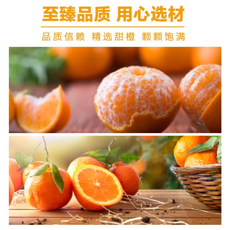 北冰洋 MINI橙汁汽水迷你罐 mini果汁碳酸饮料 塑封包装 200ml*6罐/1包