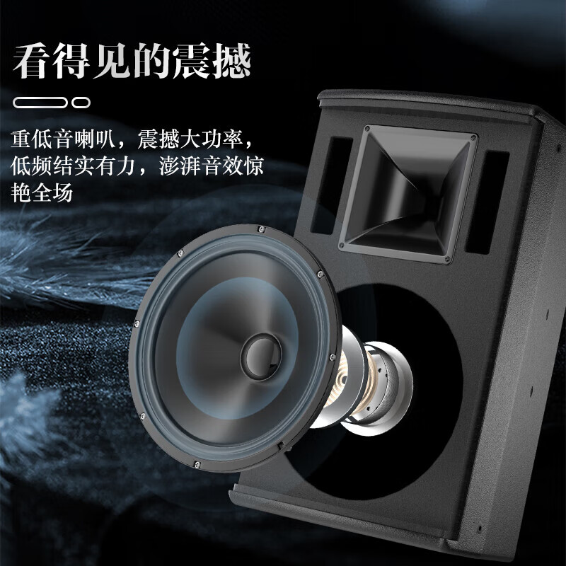 惠度 MF-12 专业大功率全频音箱大型会议室报告厅舞台演出补声音箱会议培训酒店背景音乐音响