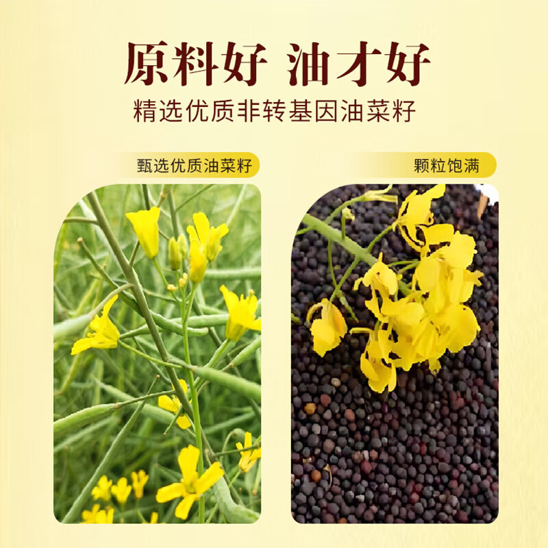 鲁花厨中香低芥酸浓香菜籽油 非转基因压榨 5L /桶