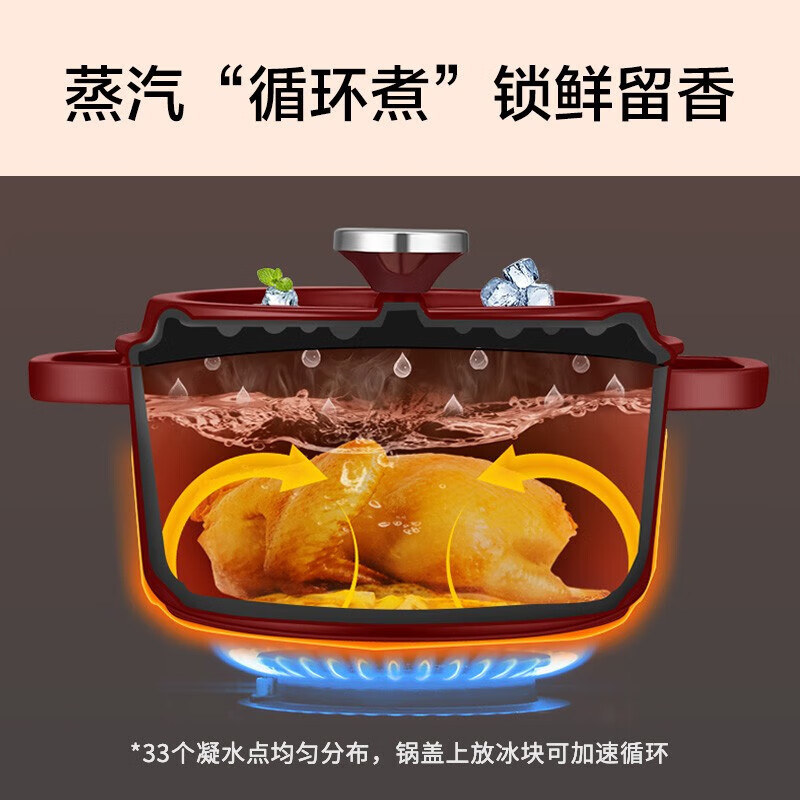 苏泊尔（SUPOR）珐琅锅汤锅22cm铸铁锅炖锅 2.8L大容量 酒红色 ET22MF01-R