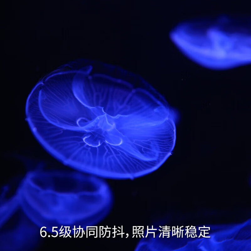 佳能 RF24mm F1.8 MACRO IS STM 全画幅广角微距定焦镜头