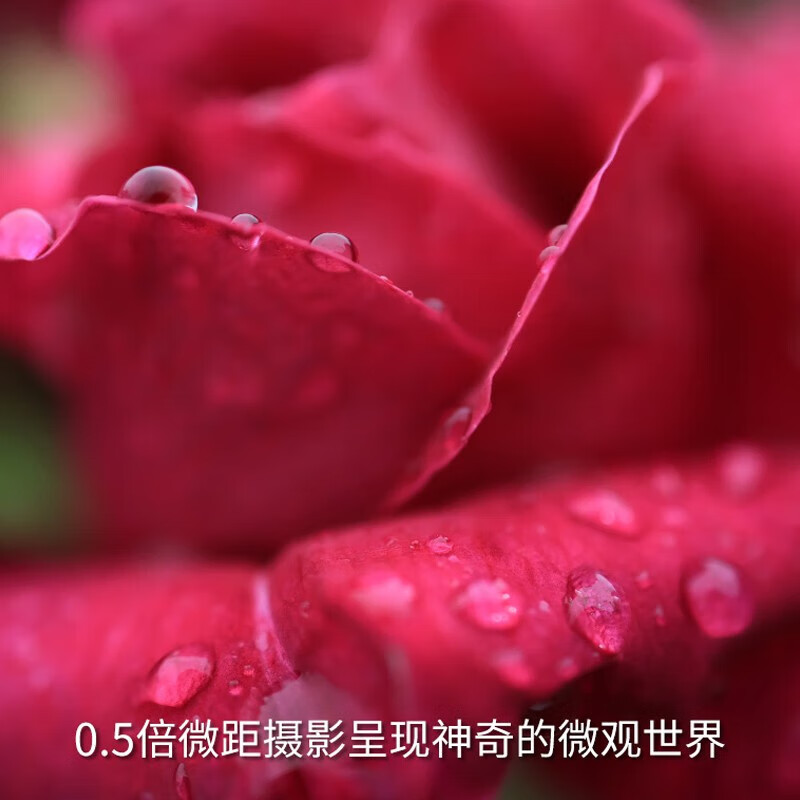 佳能 RF24mm F1.8 MACRO IS STM 全画幅广角微距定焦镜头