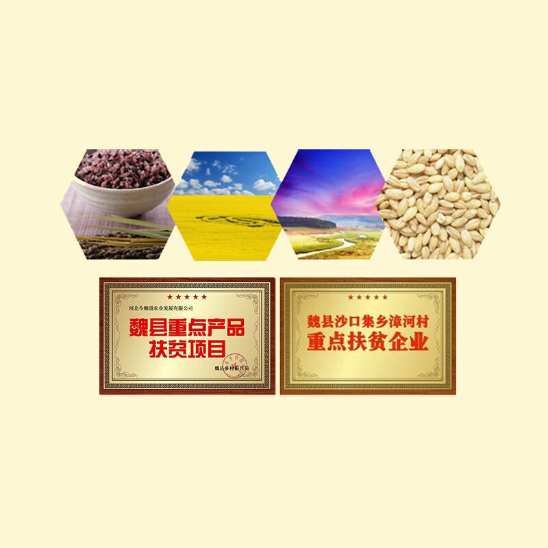 今粮道 粮油团购员工福利原味麦粉2.5kg