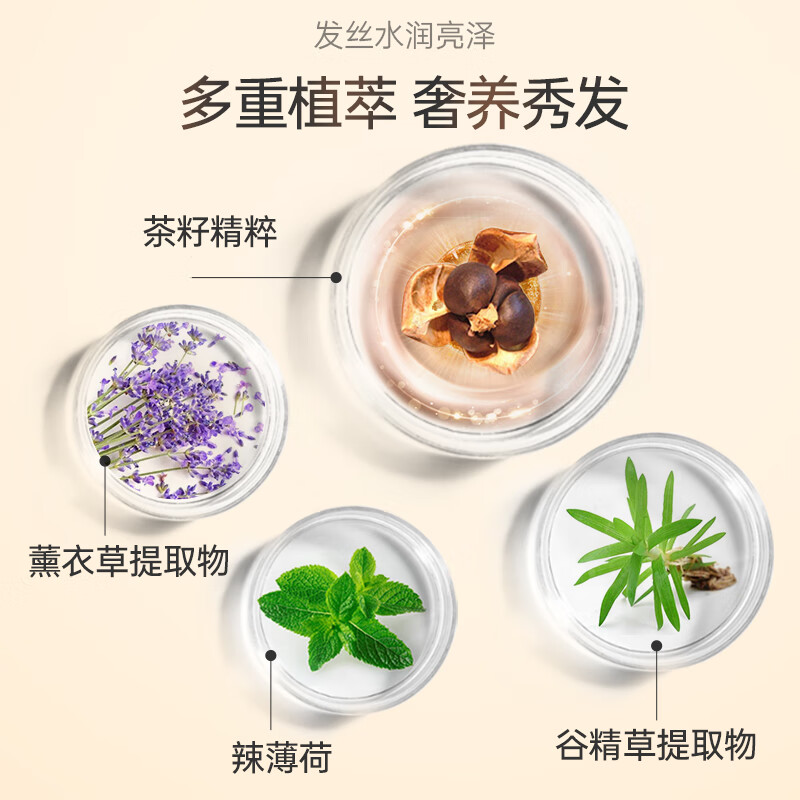 滋源茶籽控油去屑护发素轻盈顺滑润燥毛躁无硅油润发乳535ml 1瓶装