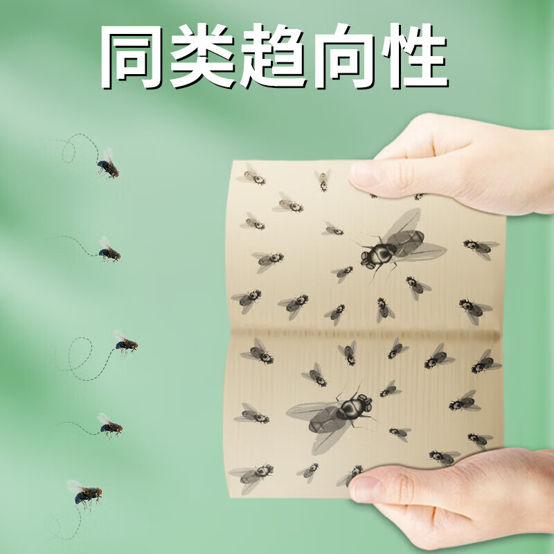 MOON LENCE粘蝇纸苍蝇贴器捕蝇粘蝇板加厚100张