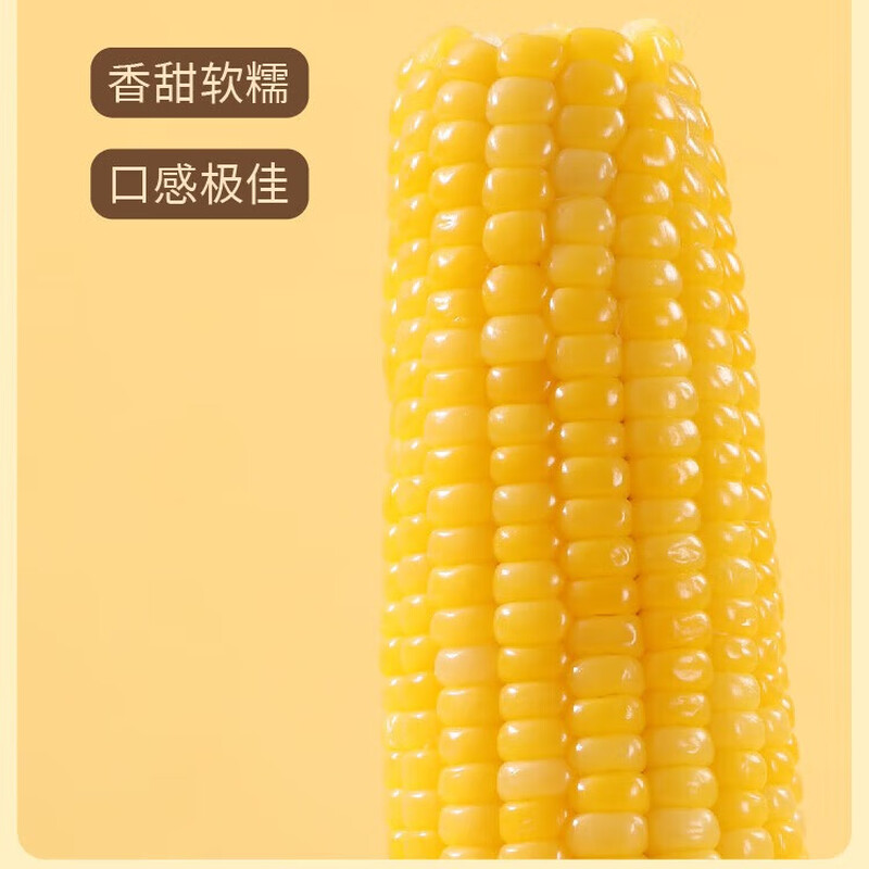 胡选严 沙漠玉米 单支装200g/袋*3袋 软糯+甜糯+脆甜