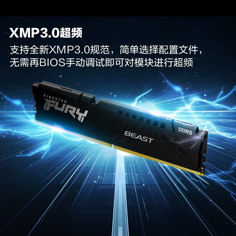 金士顿（Kingston）FURY DDR5-32GB 5200 野兽 台式机内存条 Beast野兽系列 骇客神条
