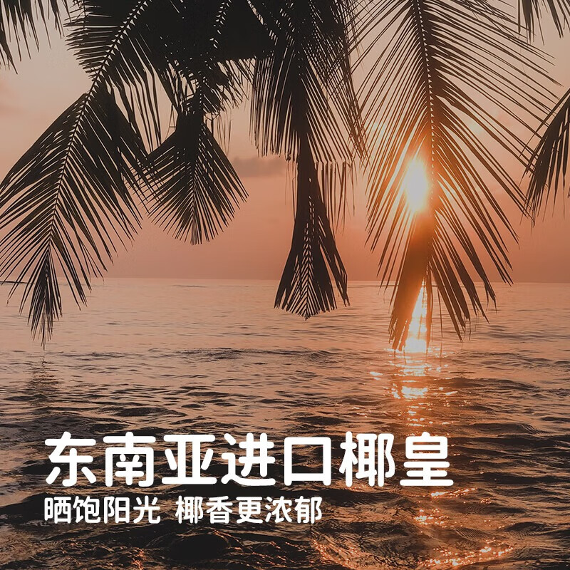 可可满分 无糖椰乳 100%椰子水 0糖青椰汁饮料 天然电解质1L*6瓶/1箱