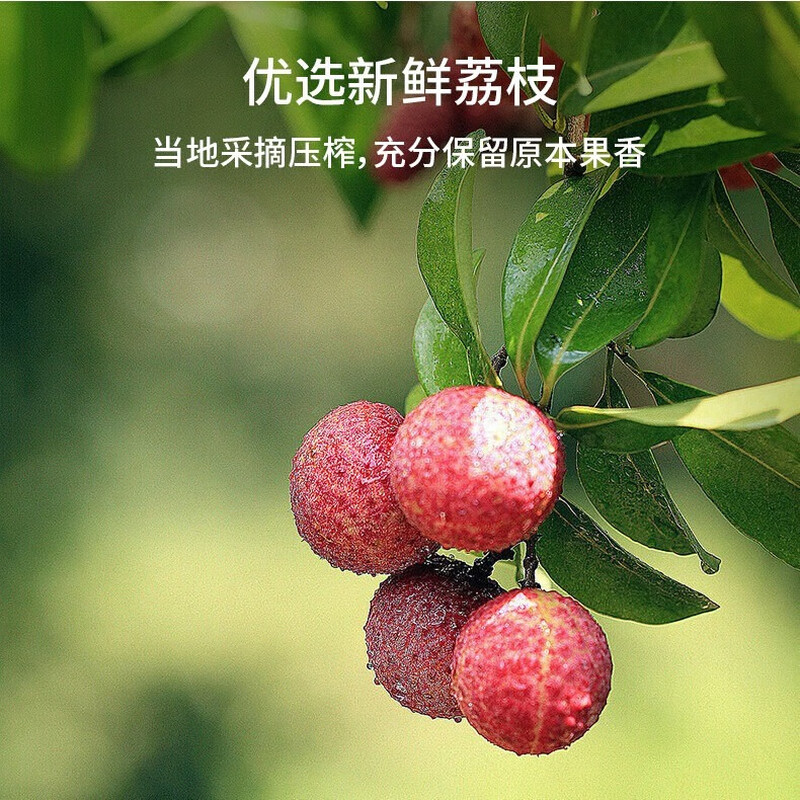 if 荔枝汁饮料350ml*12瓶 小瓶便携瓶装果汁 荔枝水饮料果味饮品