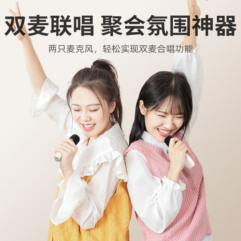 纽曼（Newmine）DP07话筒音箱音响套装家用音箱迷你手提便携式话筒K歌麦克风一体机 双麦