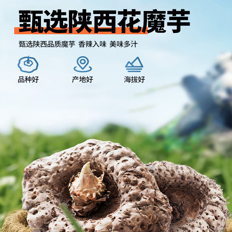 魔芋兄弟魔芋爽 魔芋干 休闲零食混合口味500g 解馋办公素毛肚小吃约33包