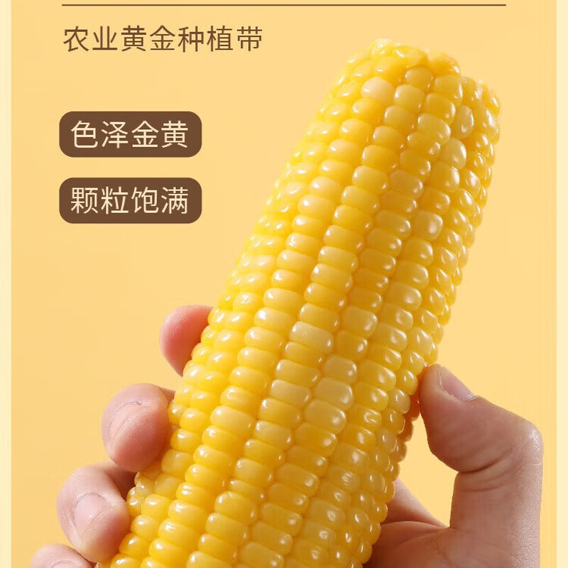 胡选严 沙漠玉米 单支装200g/袋*3袋 软糯+甜糯+脆甜