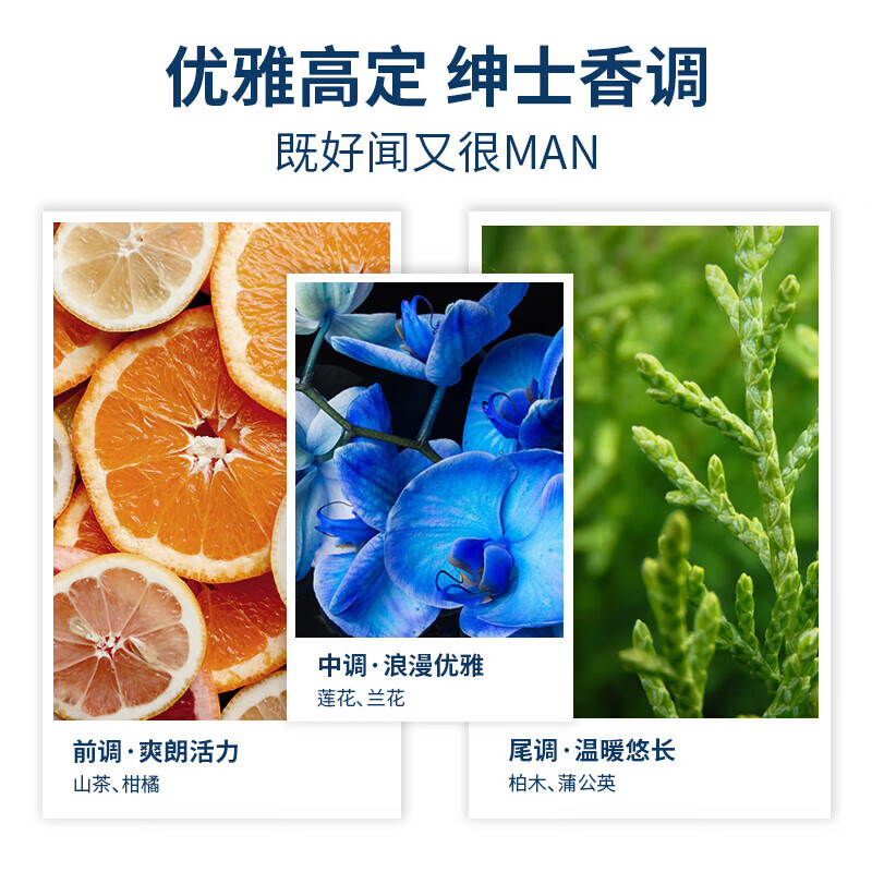 阿道夫（ADOLPH）茶树精油男士沐浴露沐浴液洁面2合1 450ml