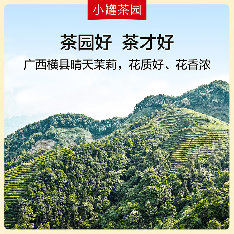 小罐茶 小罐茶园 金标系列茉莉花茶2.0版 100g*1罐 居家功夫泡