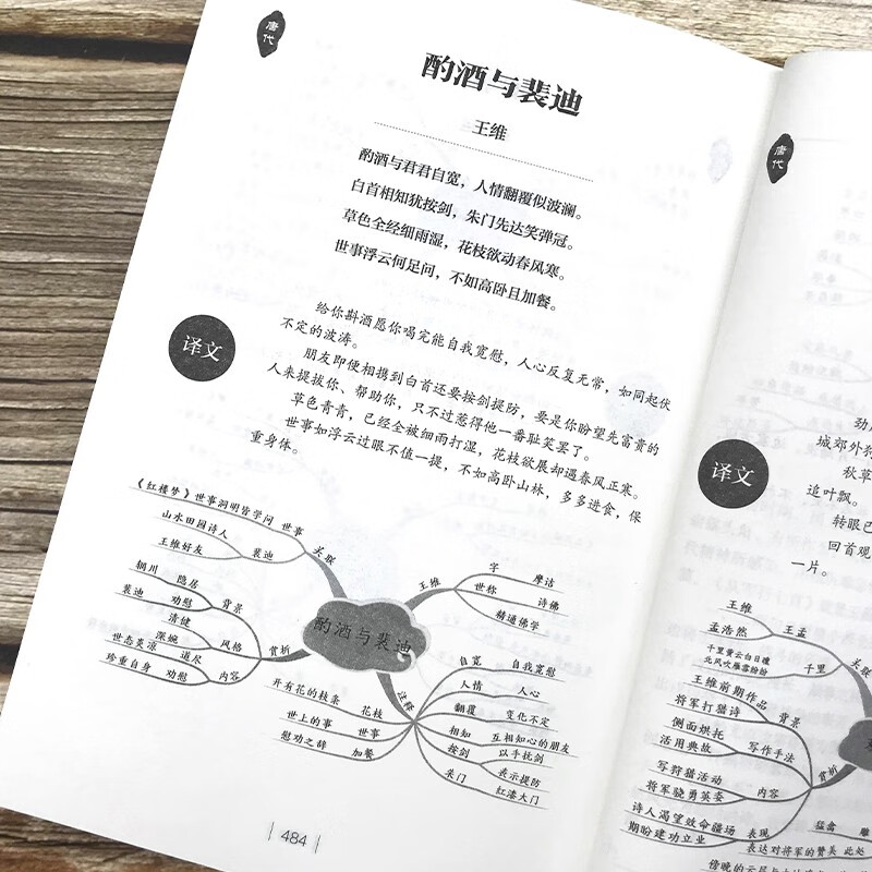 用思维导图学古诗词：365天完整版+小学生书写规范读书笔记（全2册）中小学生课外阅读书