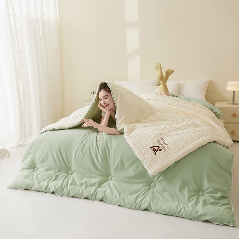 百丽安娜  秋冬新款泡泡纱大豆子母被