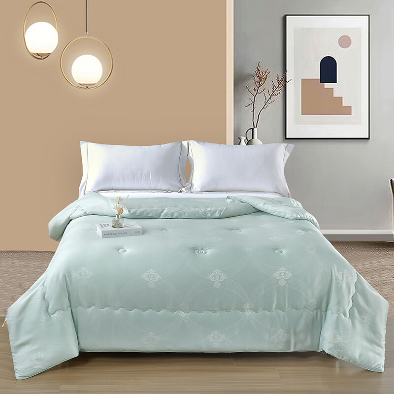 萱遇家纺  银霜绮梦零压被2700gX-D2576