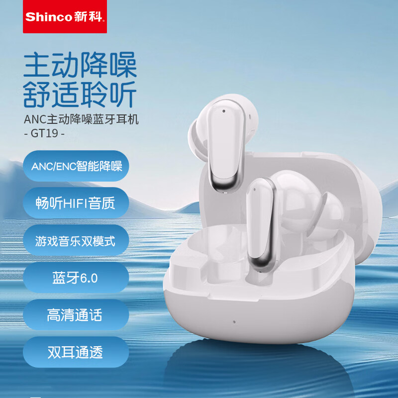 新科  真无线蓝牙耳机入耳式双耳降噪GT19