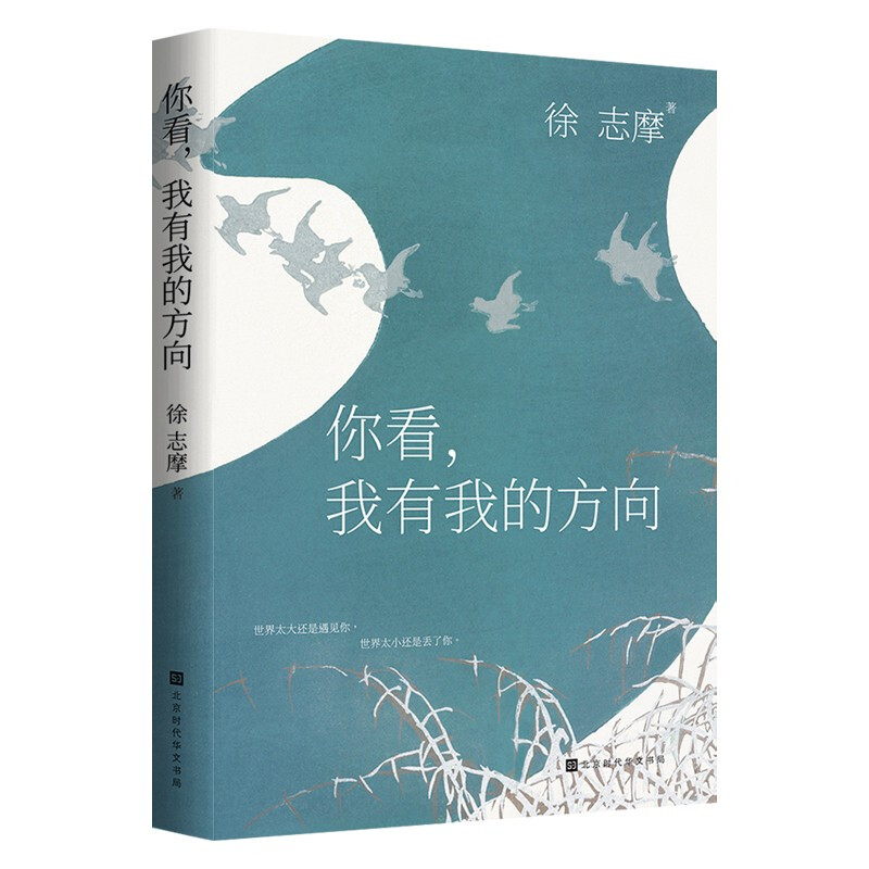 你看，我有我的方向 你看，我有我的方向