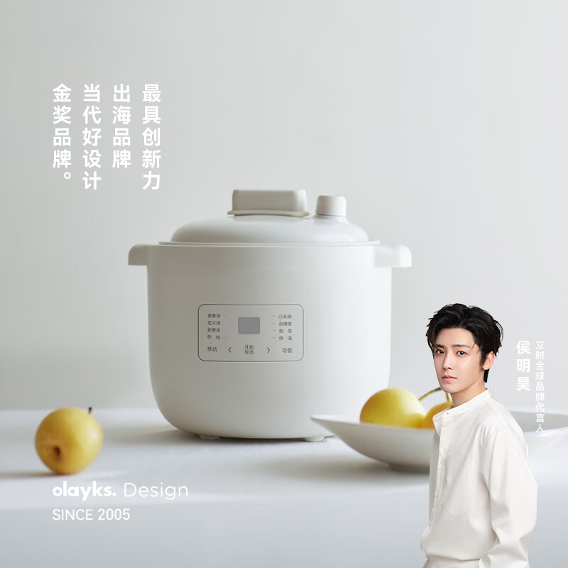 立时  2.5L电炖锅OLK-DDG25A