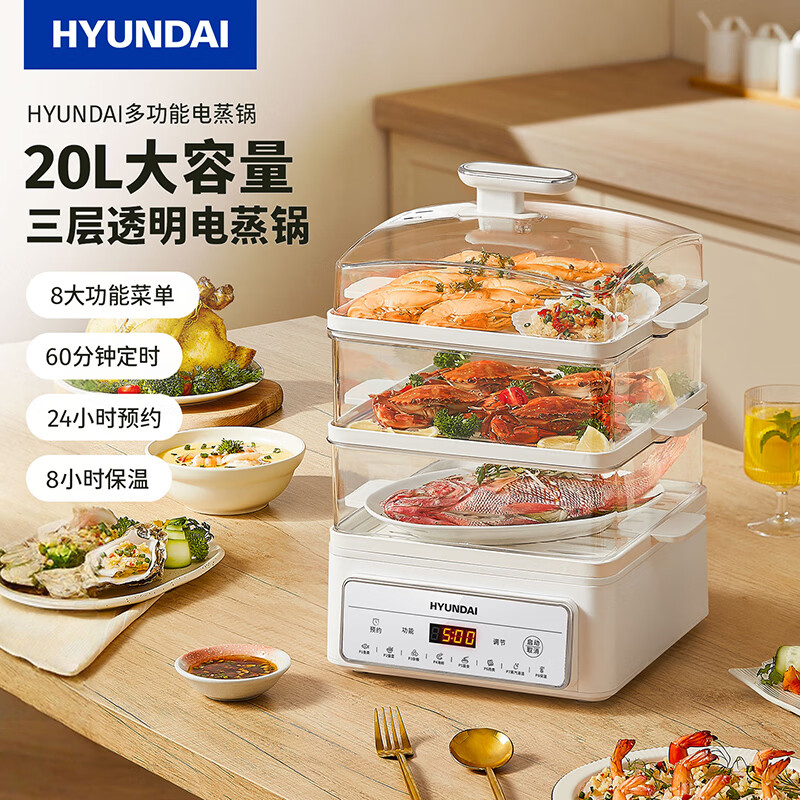 HYUNDAI  多功能电蒸锅AEM-DZG6
