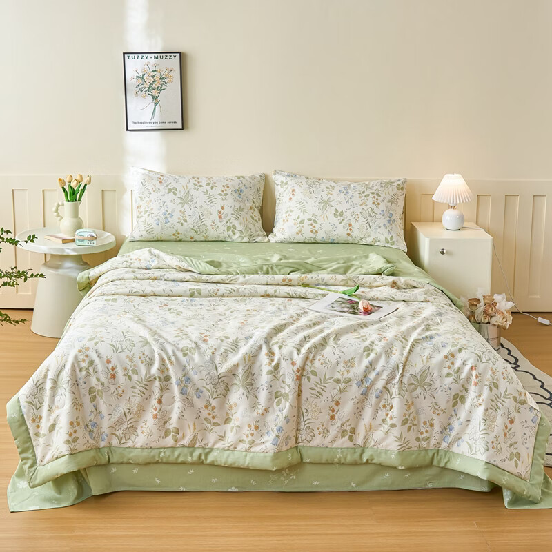百丽安娜  全棉印花棉花夏被