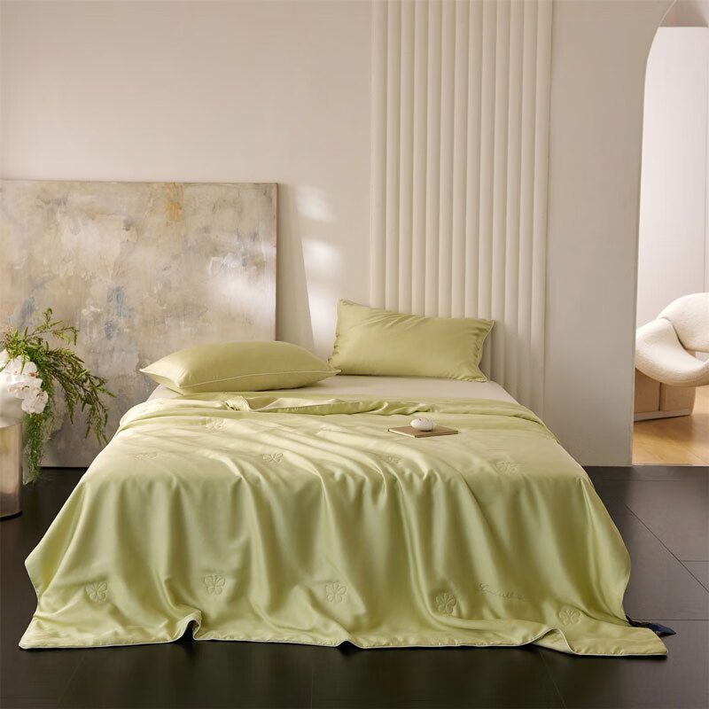 百丽安娜  60S兰精天丝蚕丝夏被两色可选