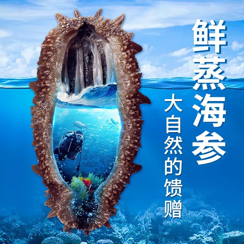 晓琴水产 鲜食海参A1(4号）即食海参500g(6-8头） 