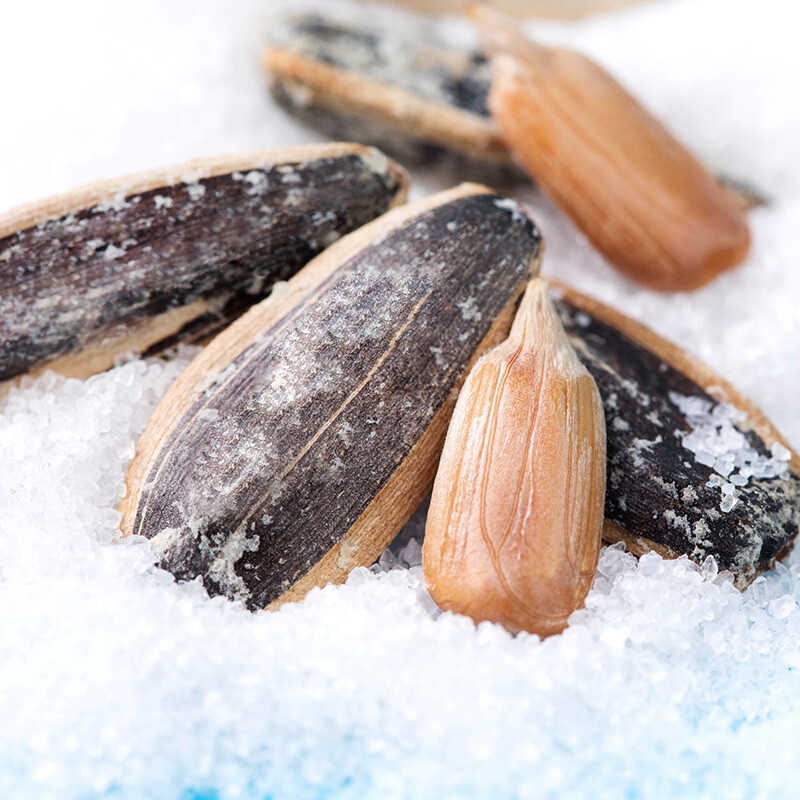 洽洽 海盐瓜子500g*2袋 坚果炒货葵花籽网红小吃休闲零食宿舍团购