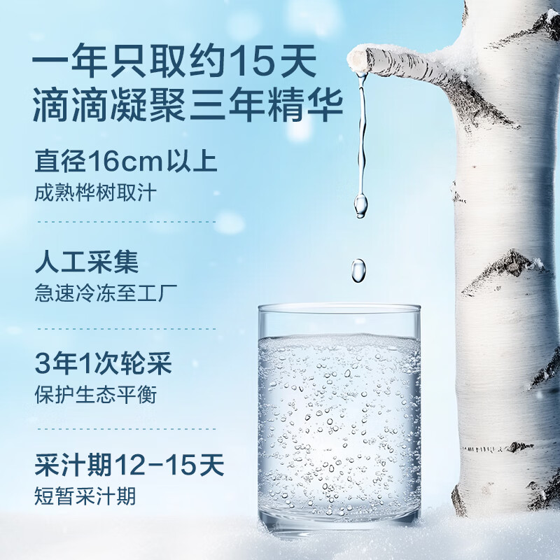 京东京造100%NFC白桦树汁原液320ml*6瓶大兴安岭0脂天然植物当季鲜采端午