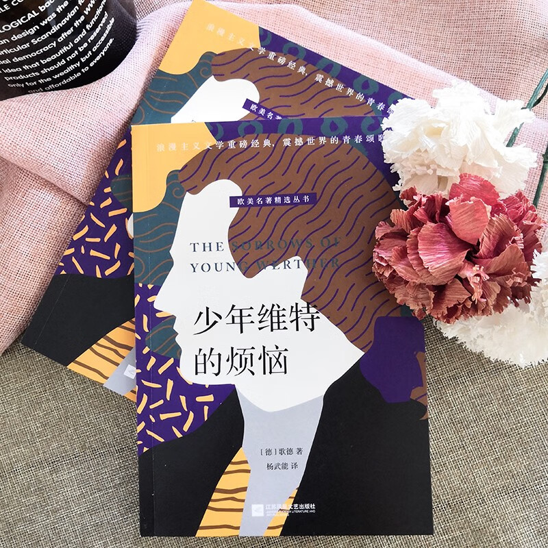 少年维特的烦恼 小说 