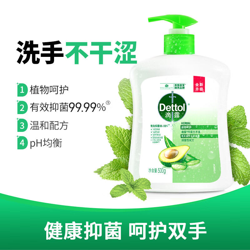 滴露（Dettol）健康抑菌洗手液植物呵护500g 消毒抑菌99.99% 儿童适用不含酒精