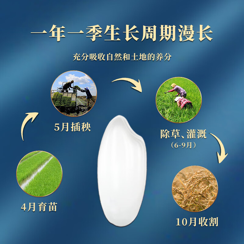 长寿山 东北大米有机稻香米5kg 2022年新米 黑龙江延寿大米粳米10斤送礼