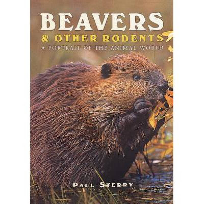 beavers & other rodents: a portrait of t.