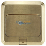 ���ɣ�SIMON��TD120F19 �ز�绰����Ϣ���� ��ͭɫ��