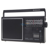 ����(tecsun) R-306 ��Ƶ/�в�/�̲�4����������  ��ɫ