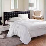 �ʹ� ��Ȼ�׷���˿���� 200*230cm ���ﱻ 0765