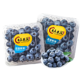 愉果（yuguo）新鲜云南蓝莓125g装 时令水果 12盒装