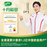 十月稻田 云南白拇指玉米 2斤(14~22根) 手指小玉米 真空包装 西双版纳