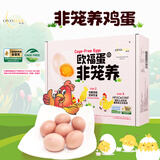 欧福非笼养鲜鸡蛋 20枚 2.2斤鸡蛋礼盒装 无抗鸡蛋 源头直发