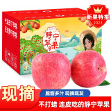 柏果瑞【顺丰快递】甘肃静宁苹果 苹果水果  时令苹果新鲜水果礼盒 75-80mm中果24枚（净重10斤）