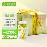 霍山黄茶霍山黄芽2026新茶正宗大化坪金鸡山黄茶一级纸包250克