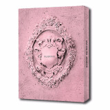 正版 粉墨 BLACKPINK 迷你2辑 KILL THIS LOVE 专辑CD+小卡  PINK版