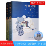 生物化学 第四版第4版 上册+下册两本套 朱圣庚 徐长法 高等教育出版社 2本