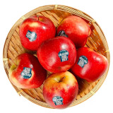 品赞新西兰丹烁苹果6个单果170-190g 新鲜进口水果苹果